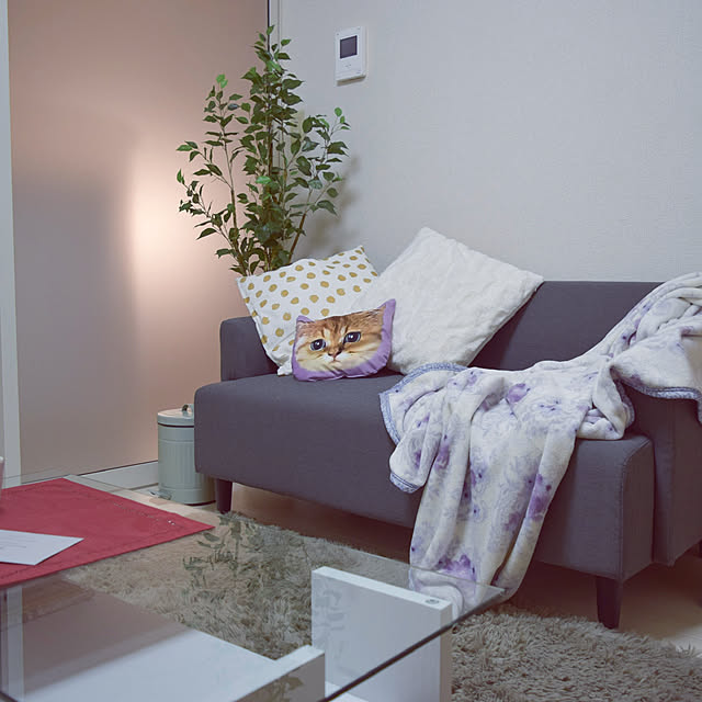 リビング/スッキリ暮らす/JILLSTUART/フェイクグリーン/IKEA...などのインテリア実例 - 2018-12-09 19:46:54