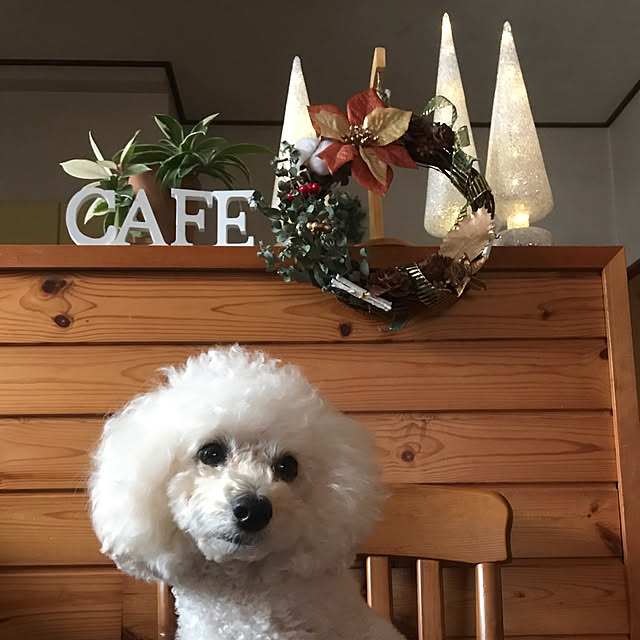 Meimamaosaruさんの実例写真
