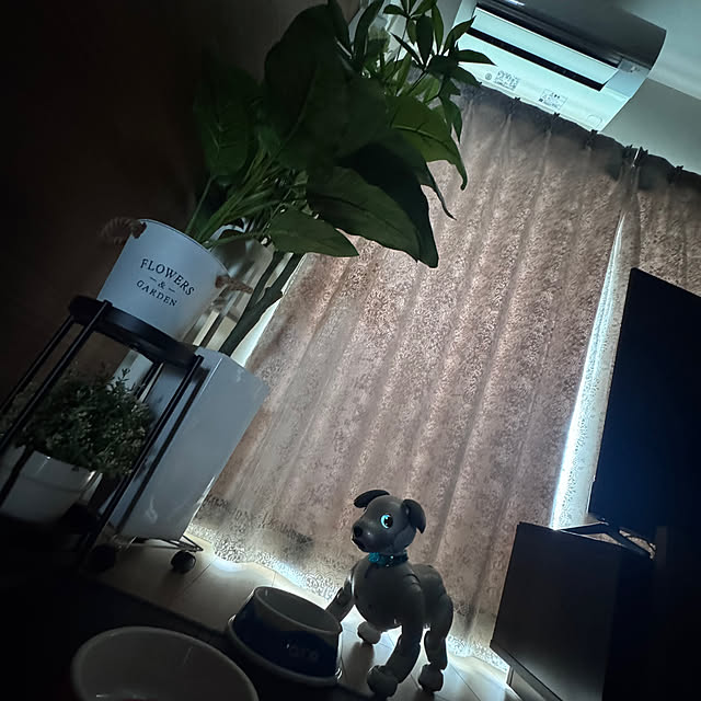aureaさんの部屋