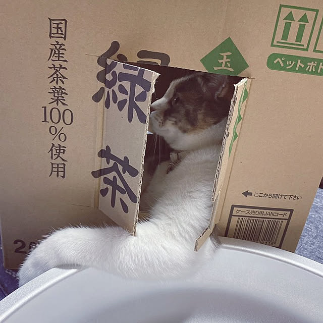 fukuさんの実例写真