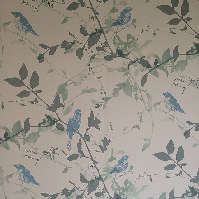 KKO331さんの実例写真