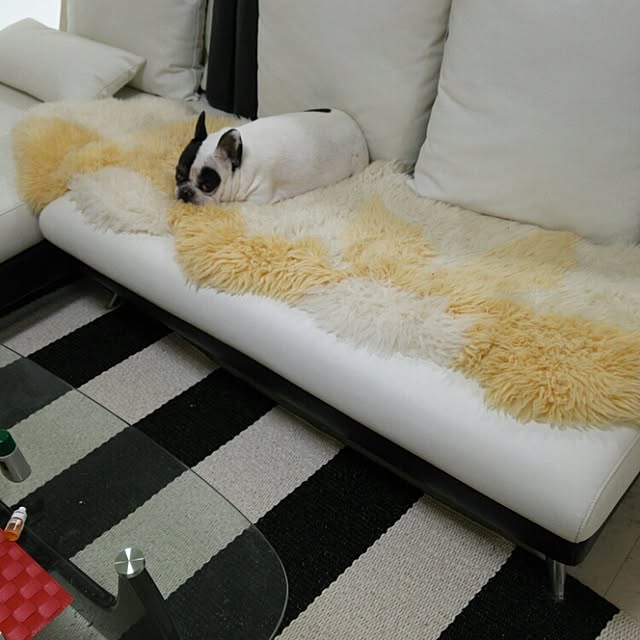 panchobiさんの実例写真