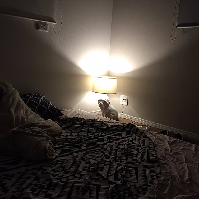 Suijiさんの実例写真
