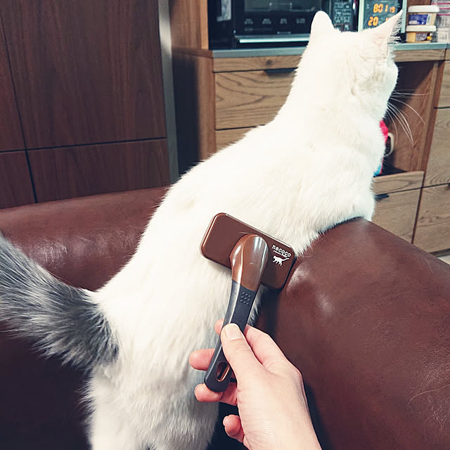 MIPORINNさんの実例写真