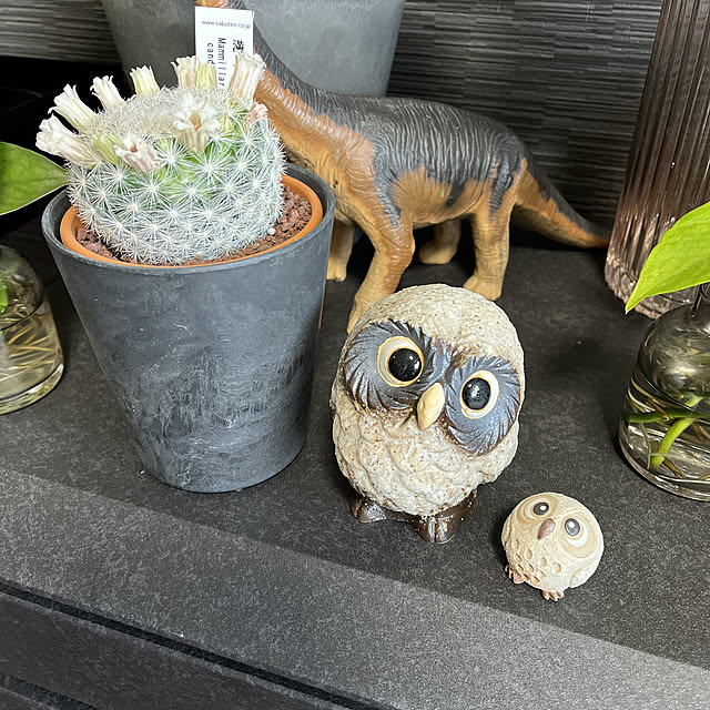 agさんの実例写真