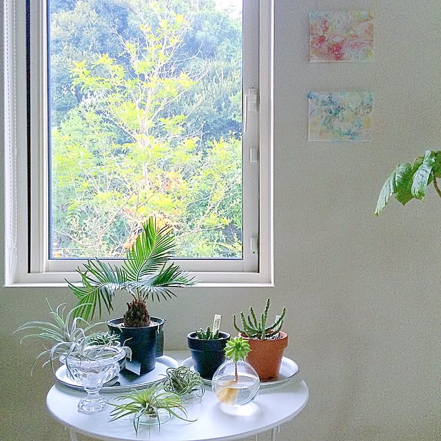 masami.hさんの実例写真