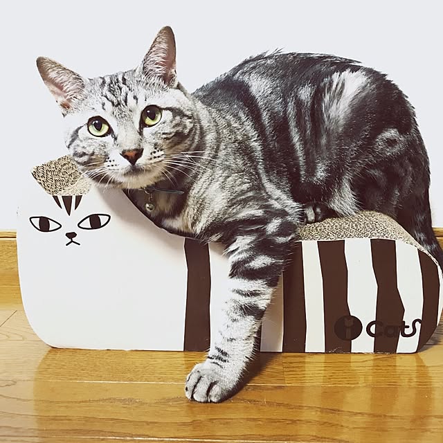 yukkki0610さんの実例写真