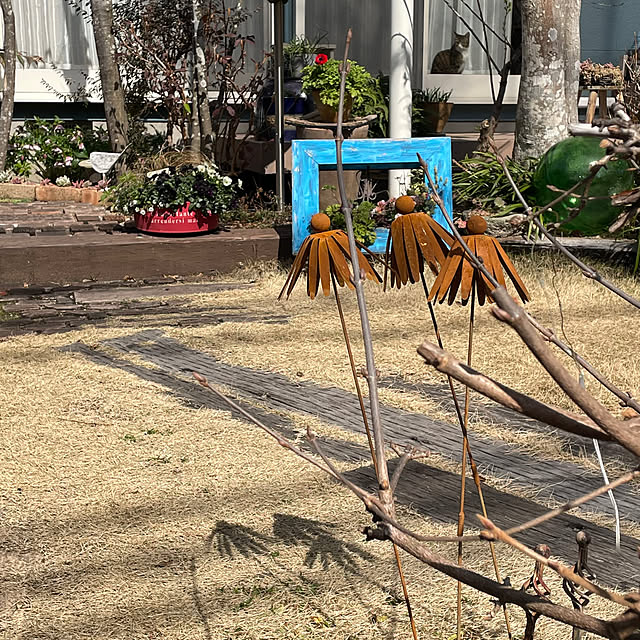 nobikoさんの部屋