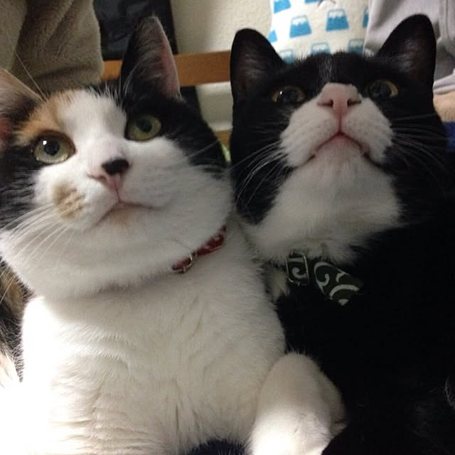 mtkさんの実例写真