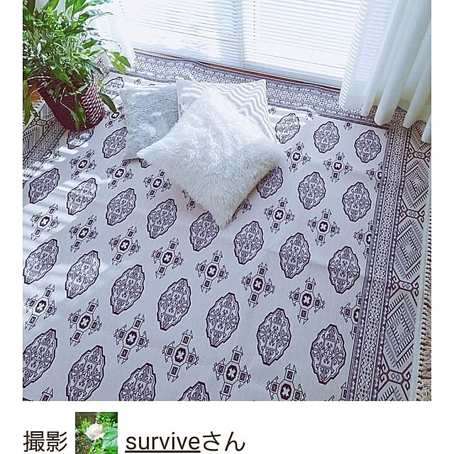 surviveさんの実例写真