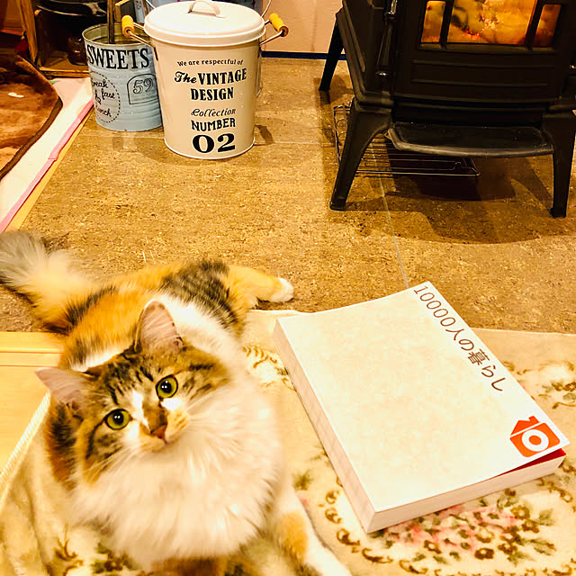 MASAさんの実例写真