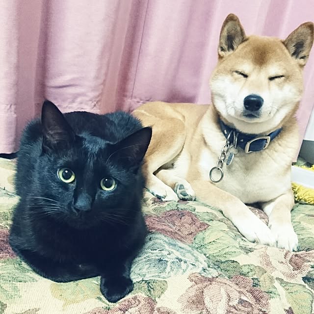 kanananaさんの実例写真
