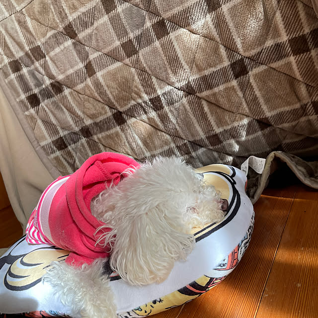 kakoさんの部屋