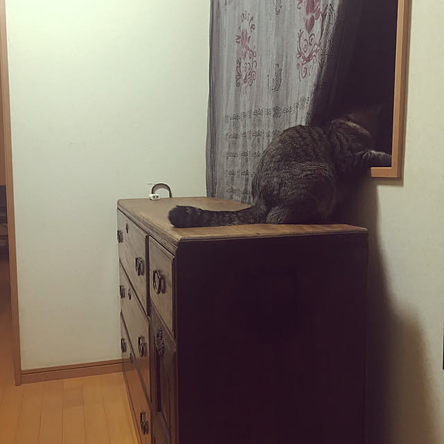 mikan161さんの実例写真