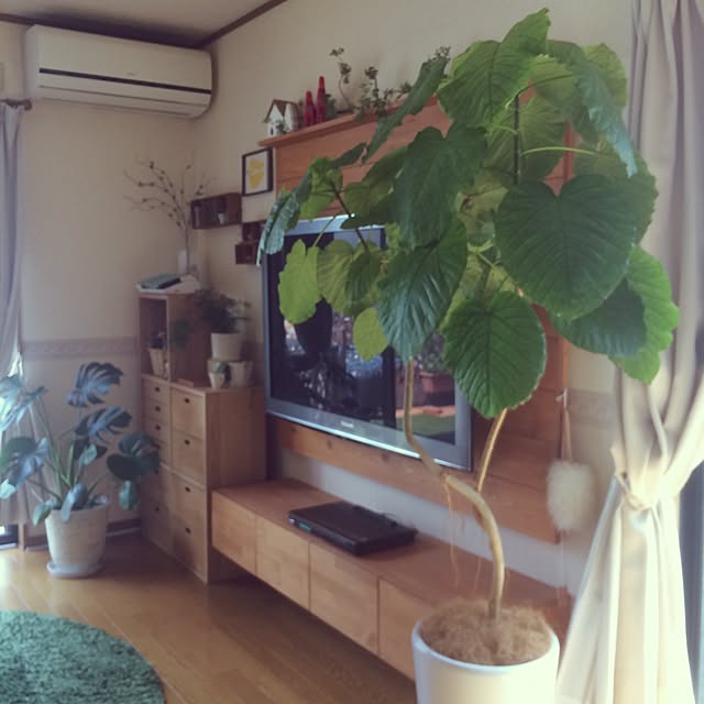 yukaさんの実例写真
