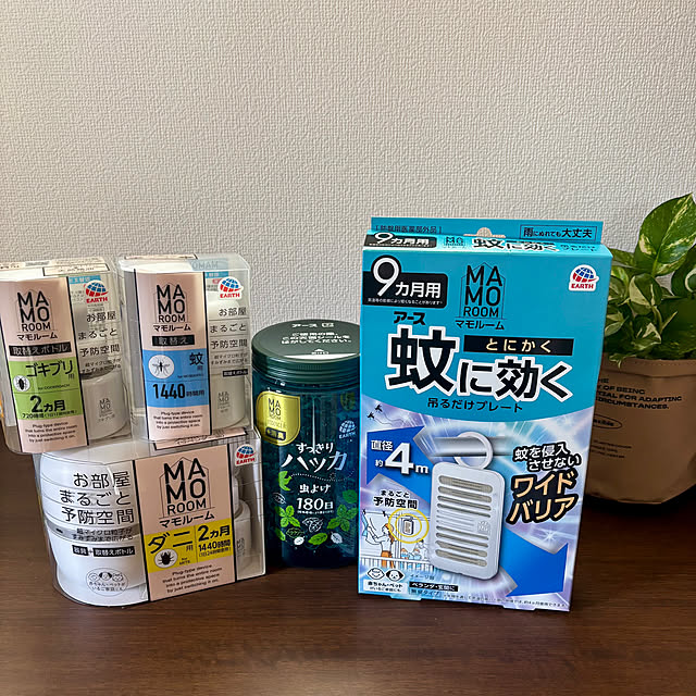 部屋全体/建売/建売住宅/アース製薬/虫対策...などのインテリア実例 - 2025-05-07 10:31:50