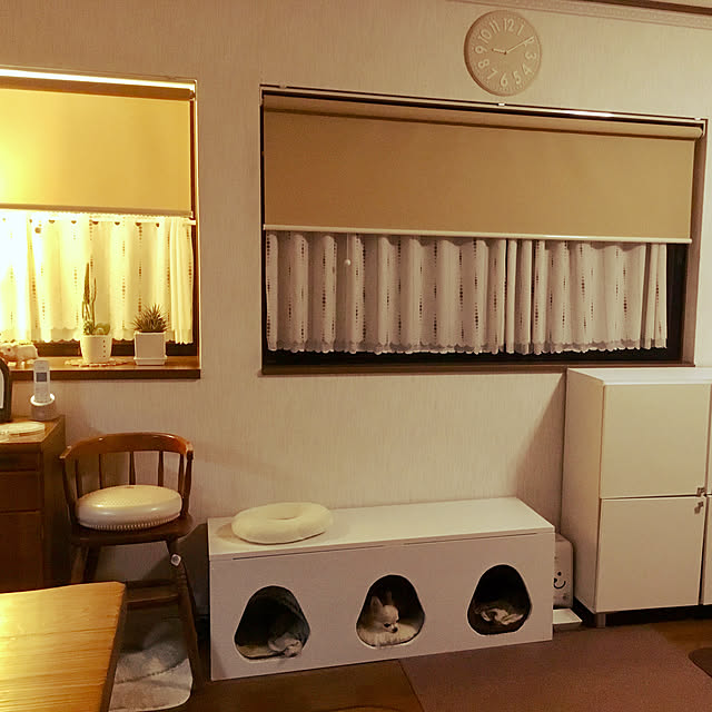 splush1219さんの実例写真