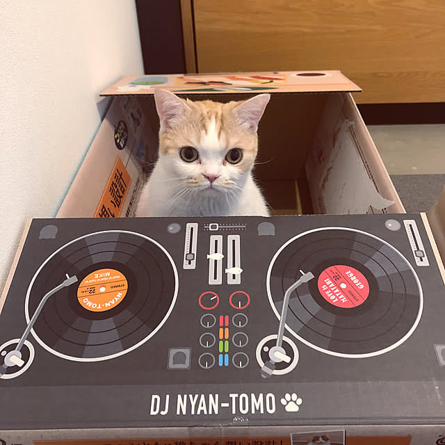 makimakiさんの部屋