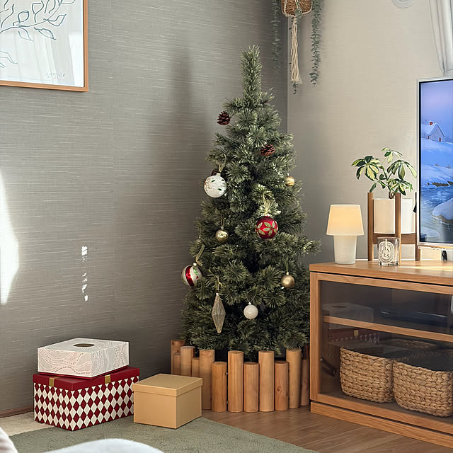 Anthuriumさんの部屋