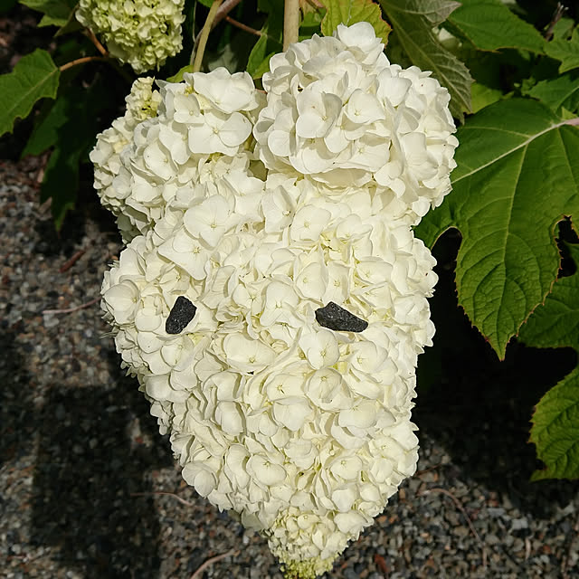Keikoさんの実例写真
