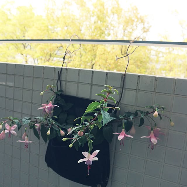 hanacocoさんの部屋