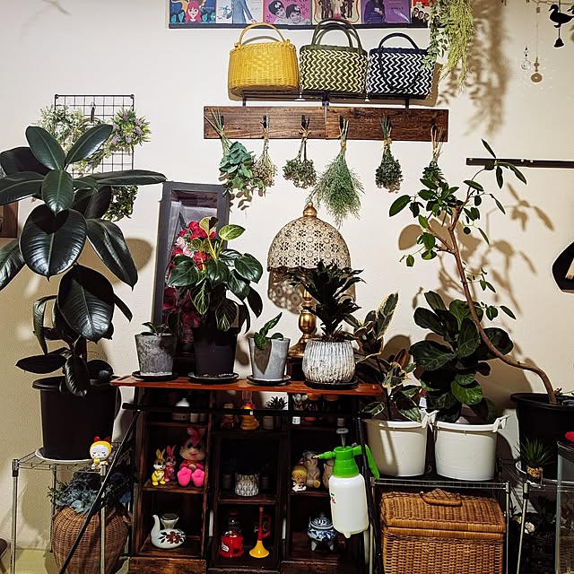 umeboshicyanさんの実例写真