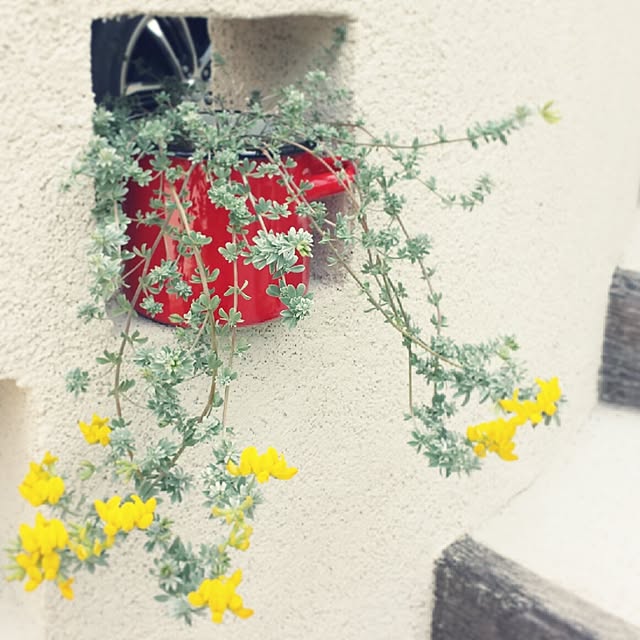 masax_xさんの実例写真