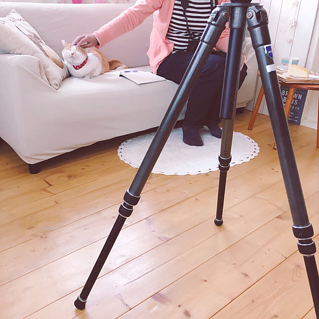 mintcatさんの実例写真