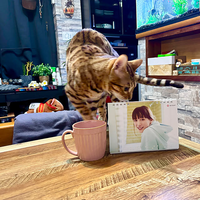 tututu0204さんの部屋