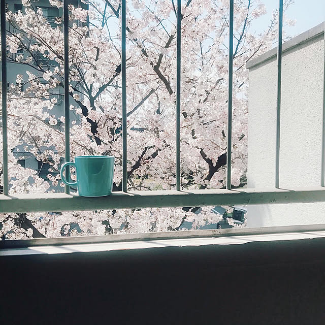 rueさんの実例写真