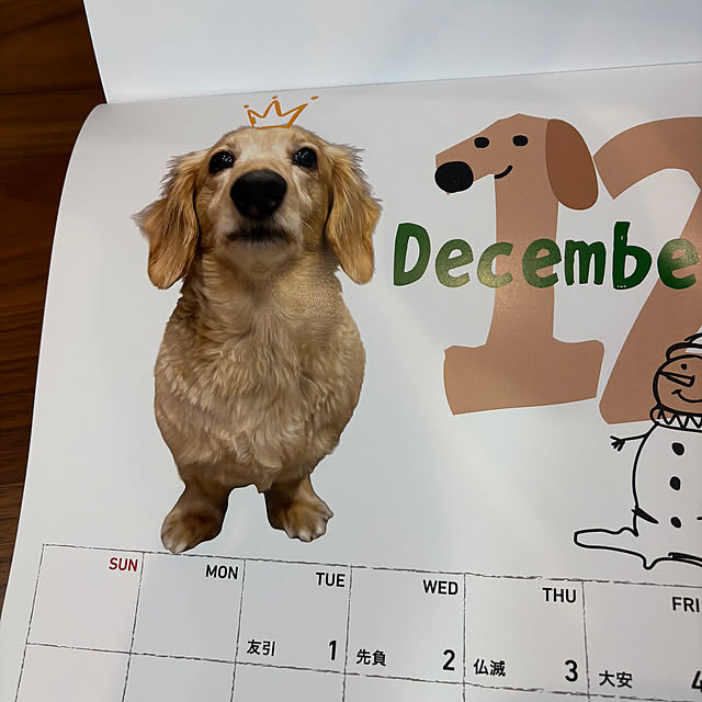 ponponcooさんの部屋