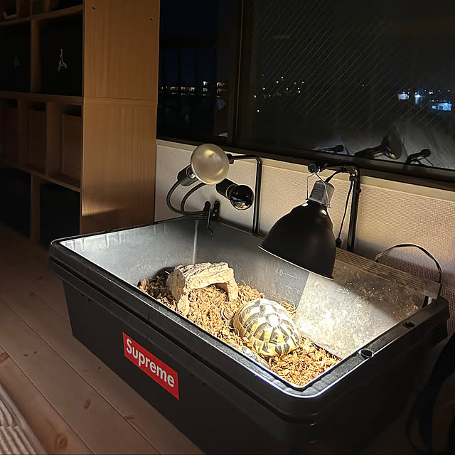 nee_roomさんの部屋