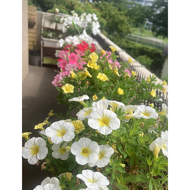 marukoさんの部屋