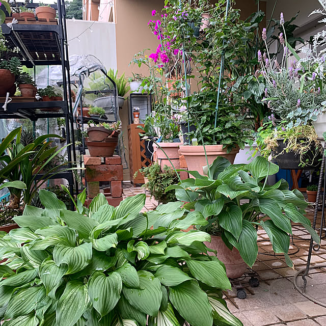 Aqettyさんの部屋