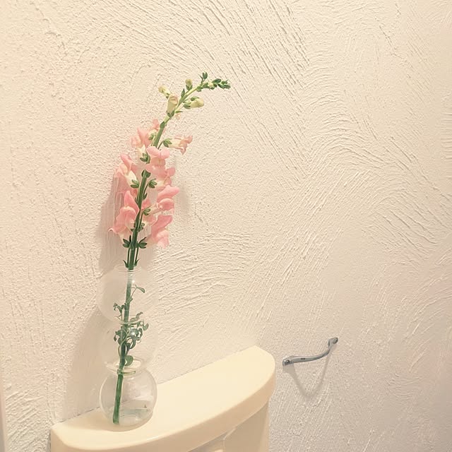 yuuuuさんの実例写真