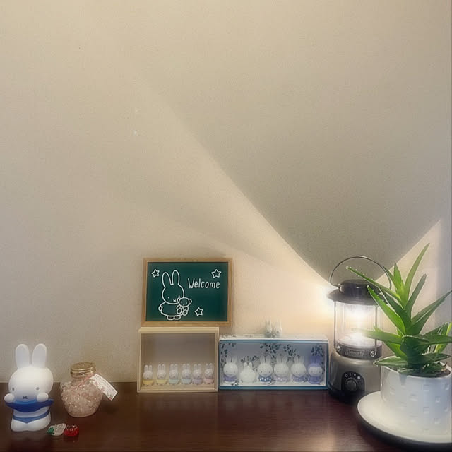 umechan_13さんの実例写真