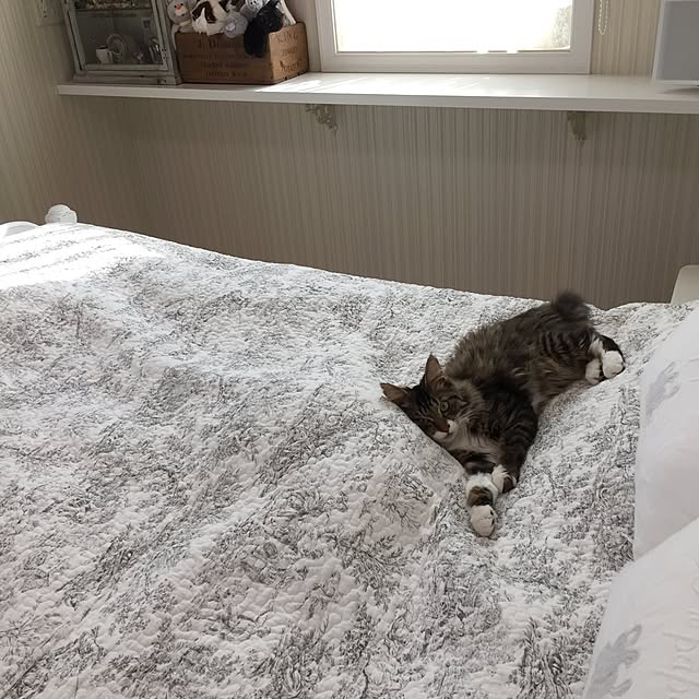 yuchiさんの実例写真