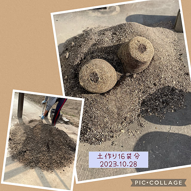 buchiさんの実例写真