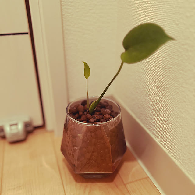 Mikiさんの部屋