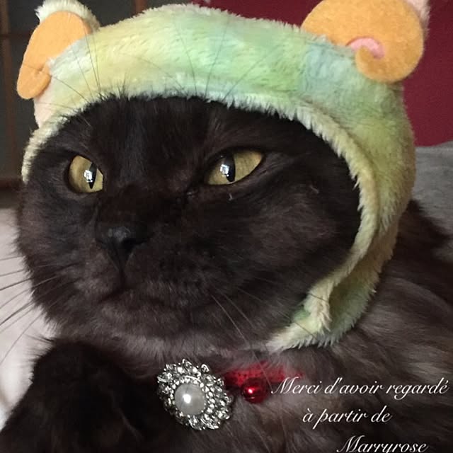 maria.rさんの実例写真