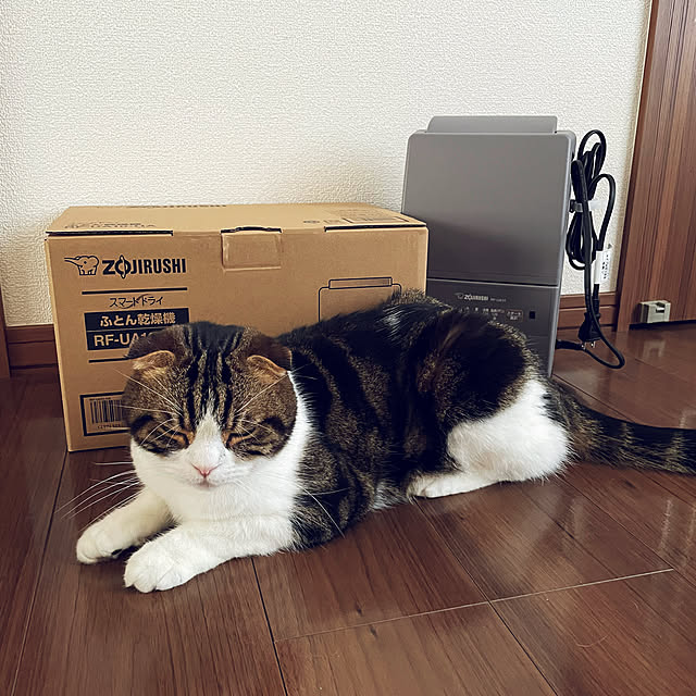 tansukeさんの部屋