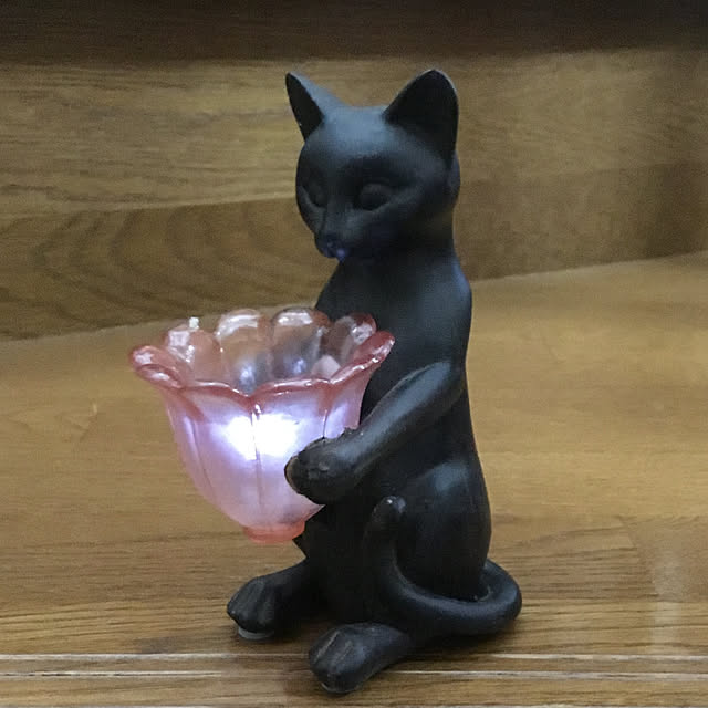 tsubonecoさんの実例写真
