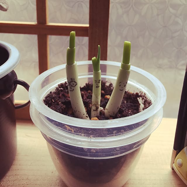 Ringo8chさんの実例写真
