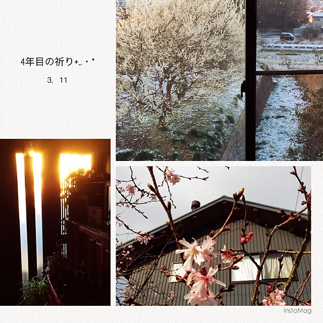 20rose_mamiさんの実例写真