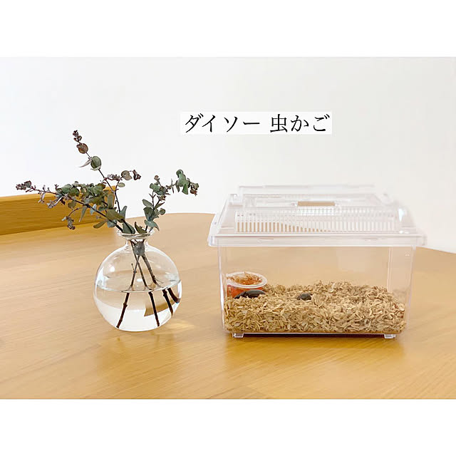 chaluさんの実例写真