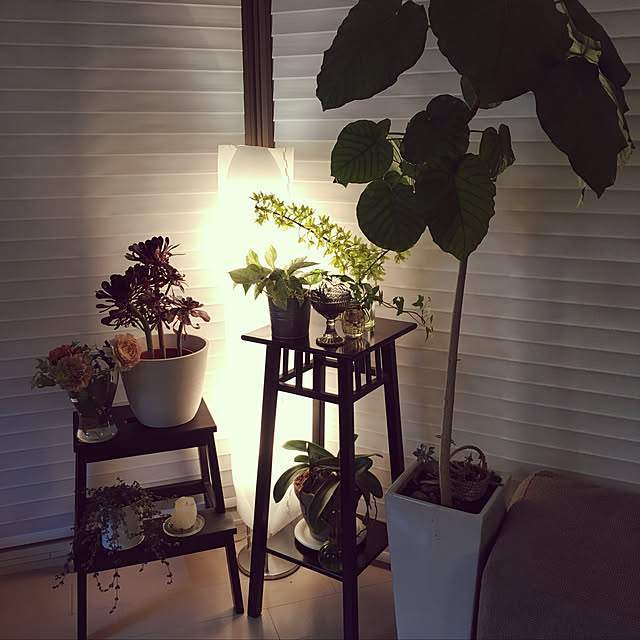greenさんの実例写真