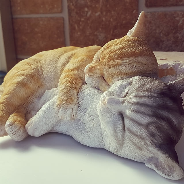 shimaさんの実例写真