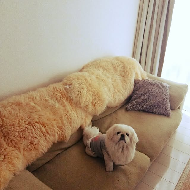 Rさんの実例写真