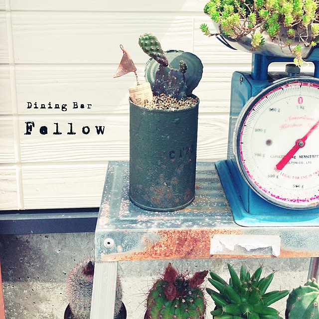 Fellowさんの実例写真