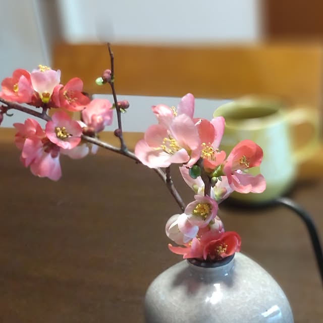 38catさんの部屋